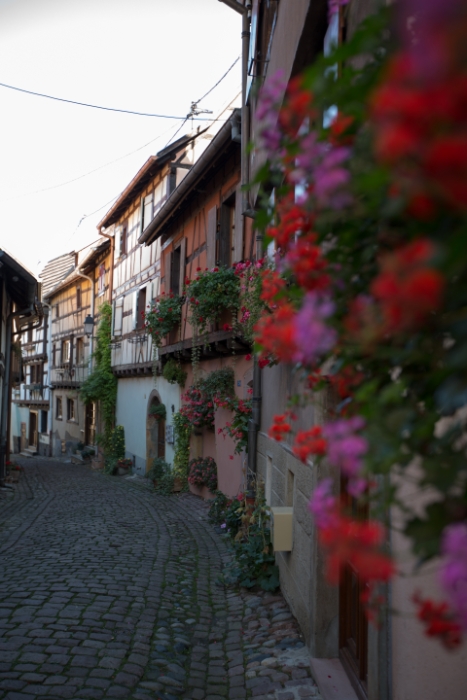 Eguisheim - 152